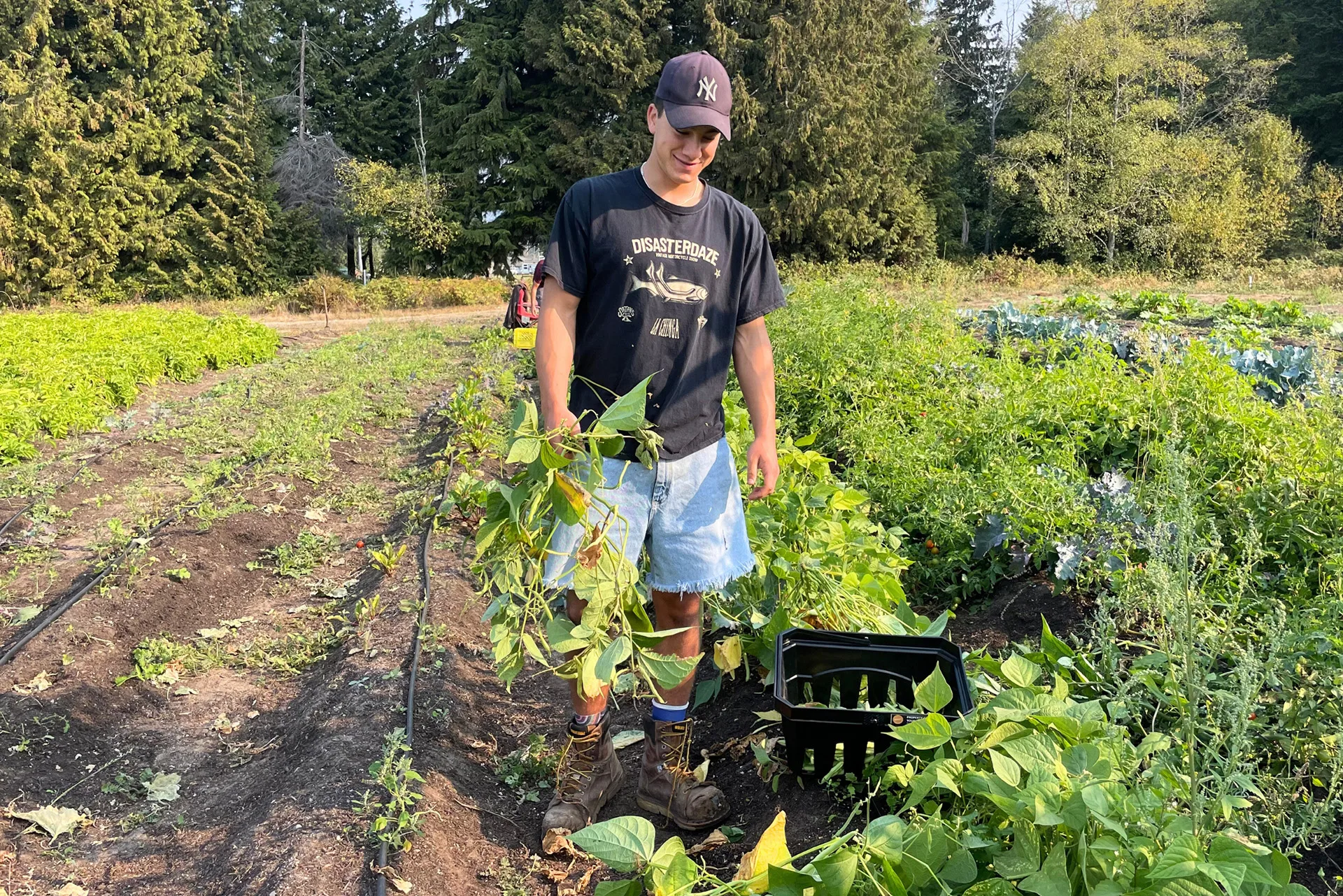 From pilot phase to full-scale urban farm, the Salish Sea Regenerative Urban Farm is strengthening food security and local partnerships. Image courtesy of Salish Sea Regenerative Forest Society.